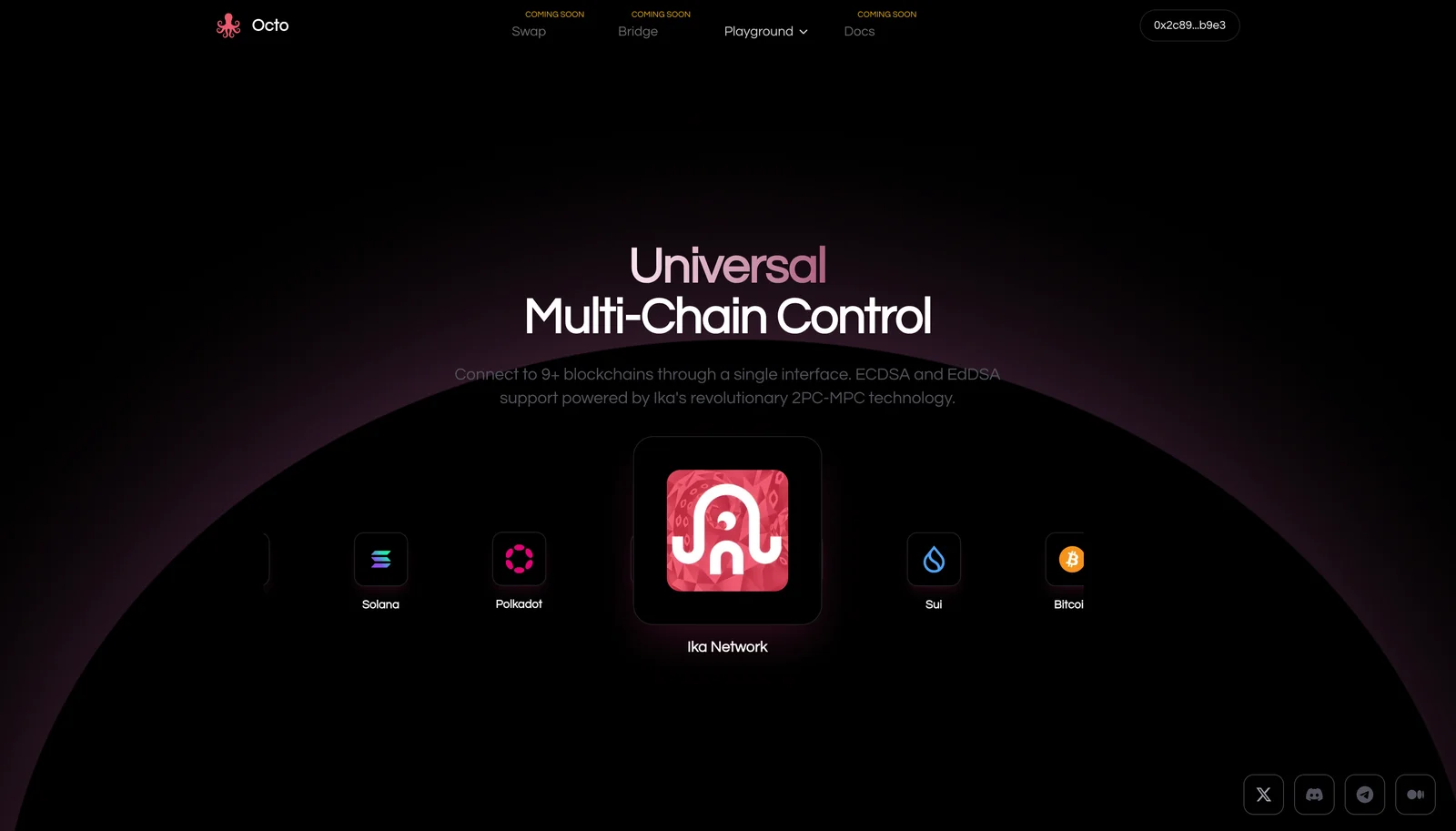 Octo Protocol multichain control interface